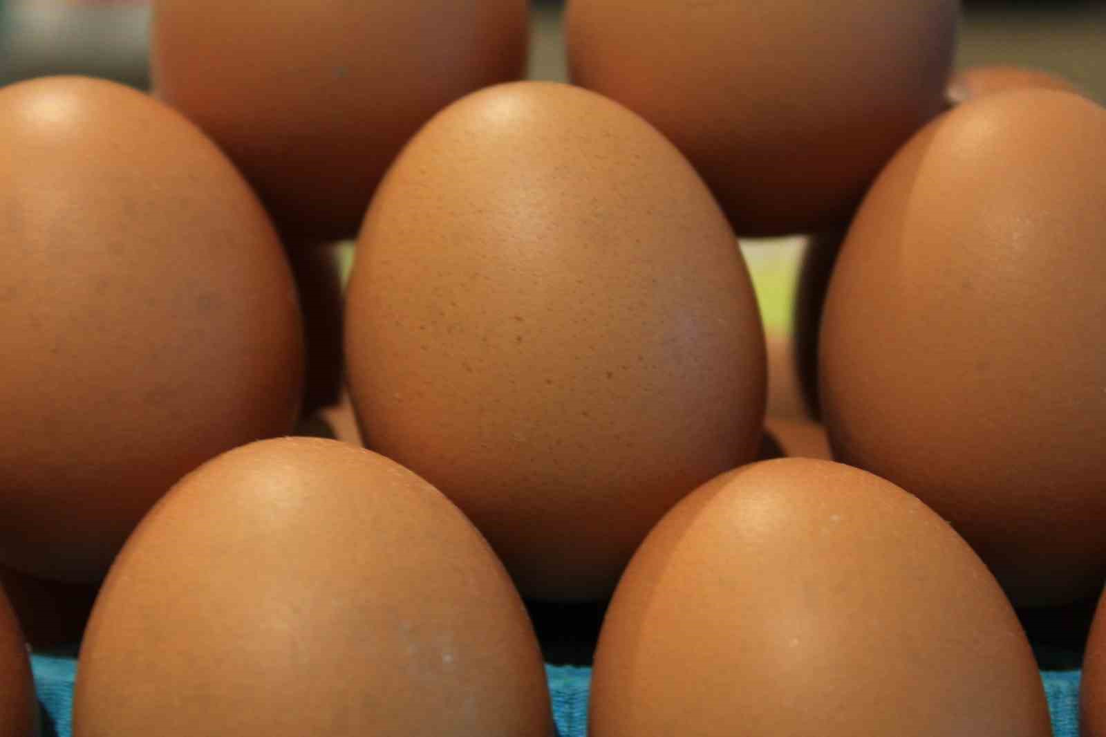 Kişi başına d&uuml;şen yumurta &uuml;retimi 15 adet azaldı
