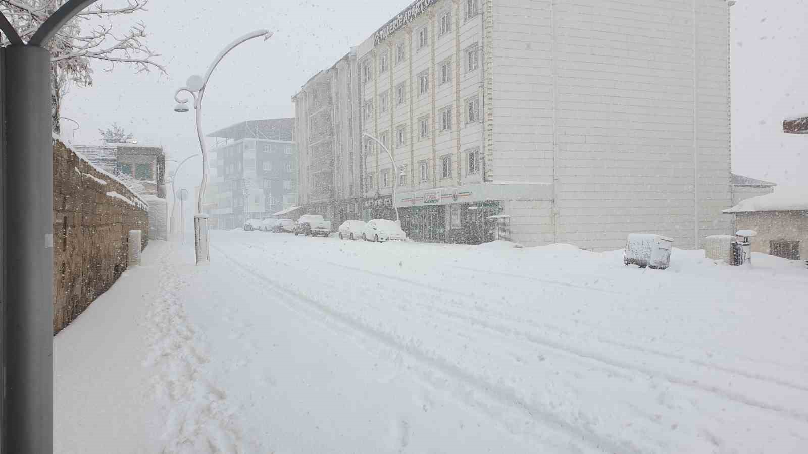 Başkale&rsquo;de yoğun kar yağışı
