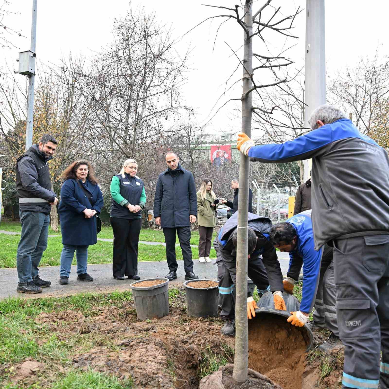 Gaziosmanpaşa&rsquo;da teke b&ouml;ceği ile m&uuml;cadele kapsamında yeşil d&ouml;n&uuml;ş&uuml;m
