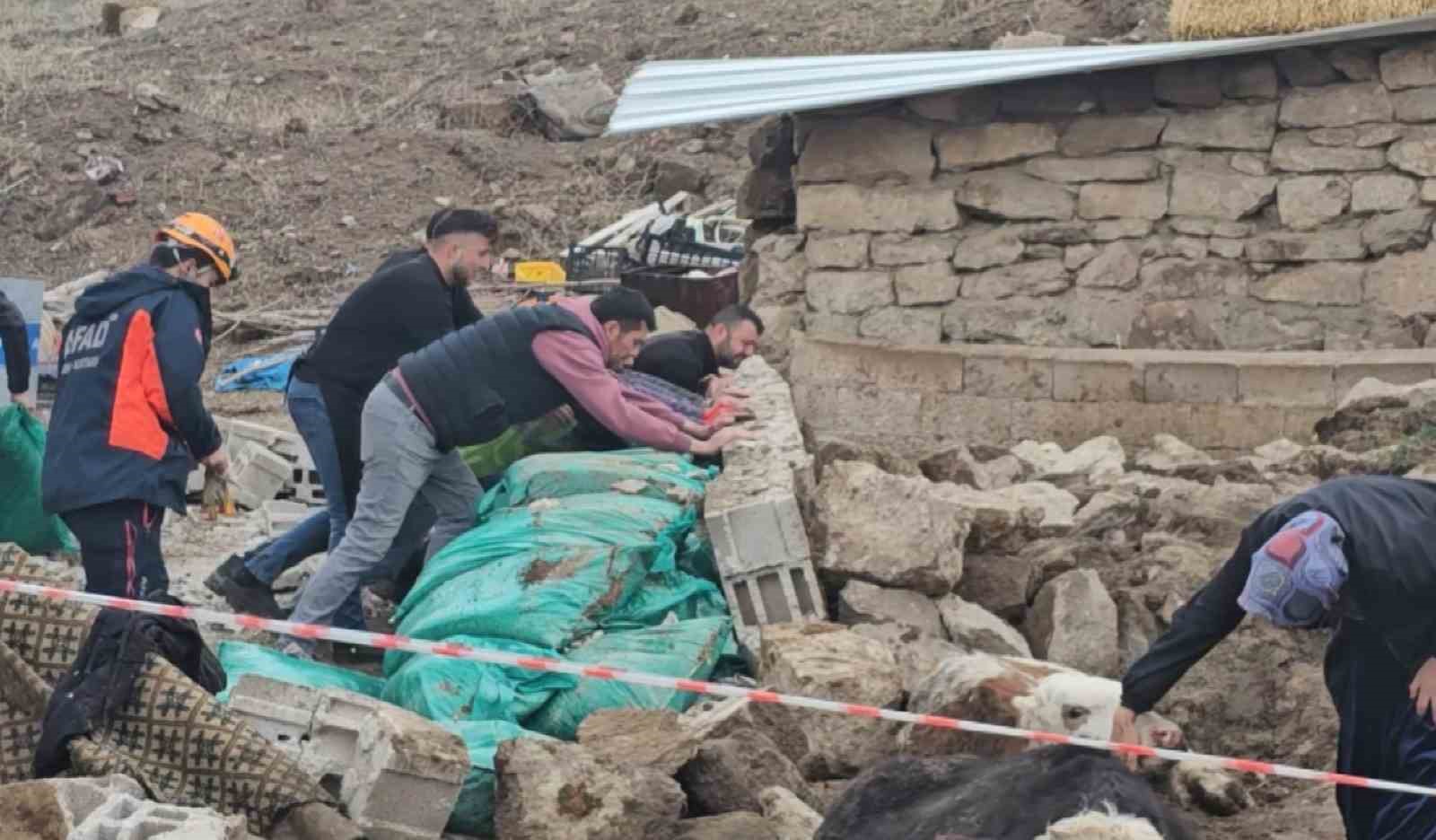 Aksaray’da yağmur ve rüzgardan ahır hayvanların üzerine çöktü