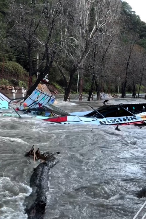 Taşan &ccedil;aydaki işletme yıkıldı, sulara kapılmak &uuml;zere olan bir k&ouml;pek son anda kurtarıldı

