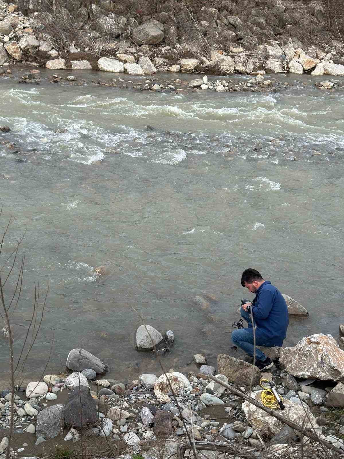 Su bitkileri ile doğal arıtma
