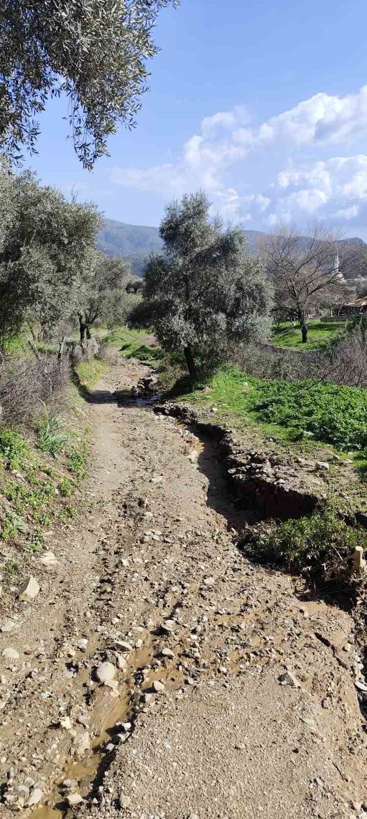 Dere suları y&ouml;n değiştirdi, zeytinlikte ikinci yatak oluştu
