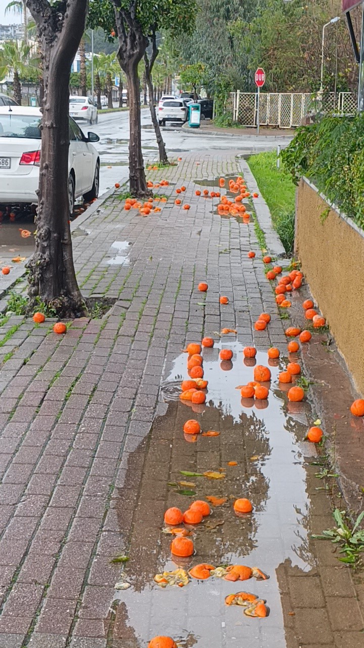 Manavgat&rsquo;ta fırtına ve yağmur turun&ccedil;ları yollara d&ouml;kt&uuml;
