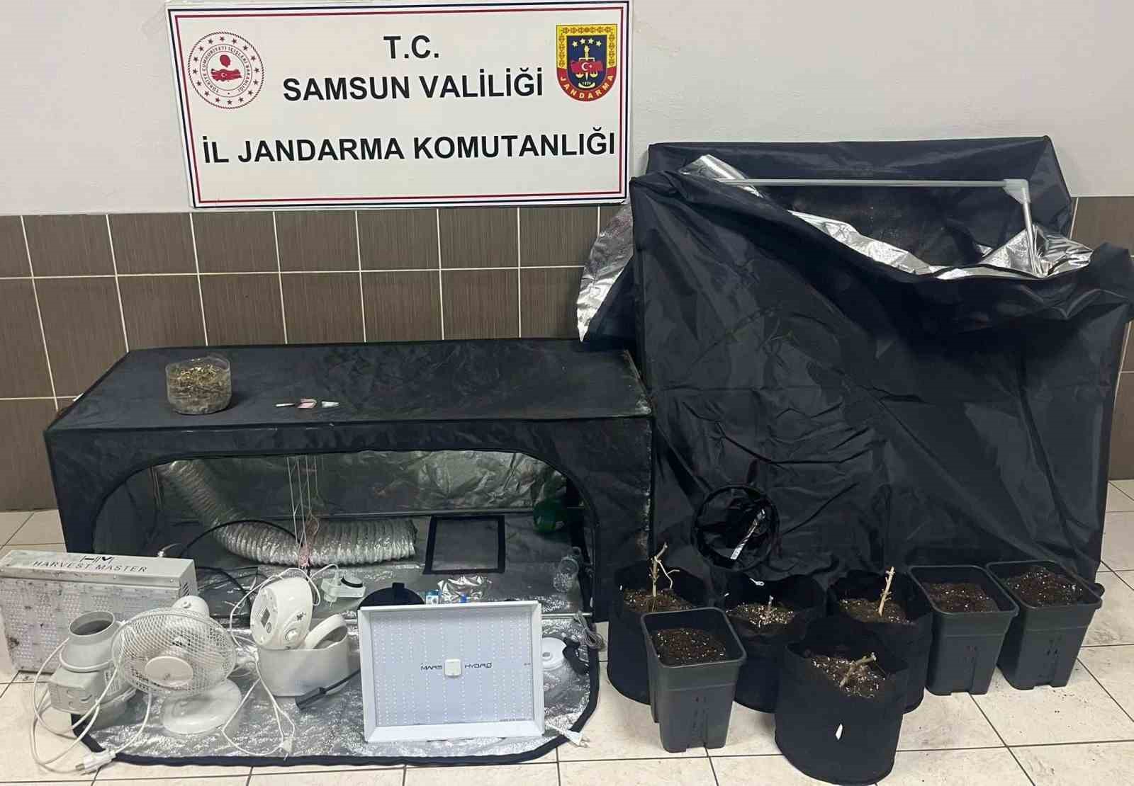 Çarşamba’da jandarmadan uyuşturucu operasyonu