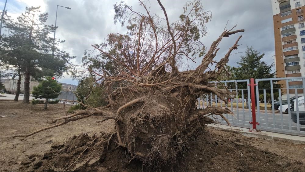 Kayseri&rsquo;de kuvvetli r&uuml;zgarın bilan&ccedil;osu: itfaiye 32 olaya m&uuml;dahale etti
