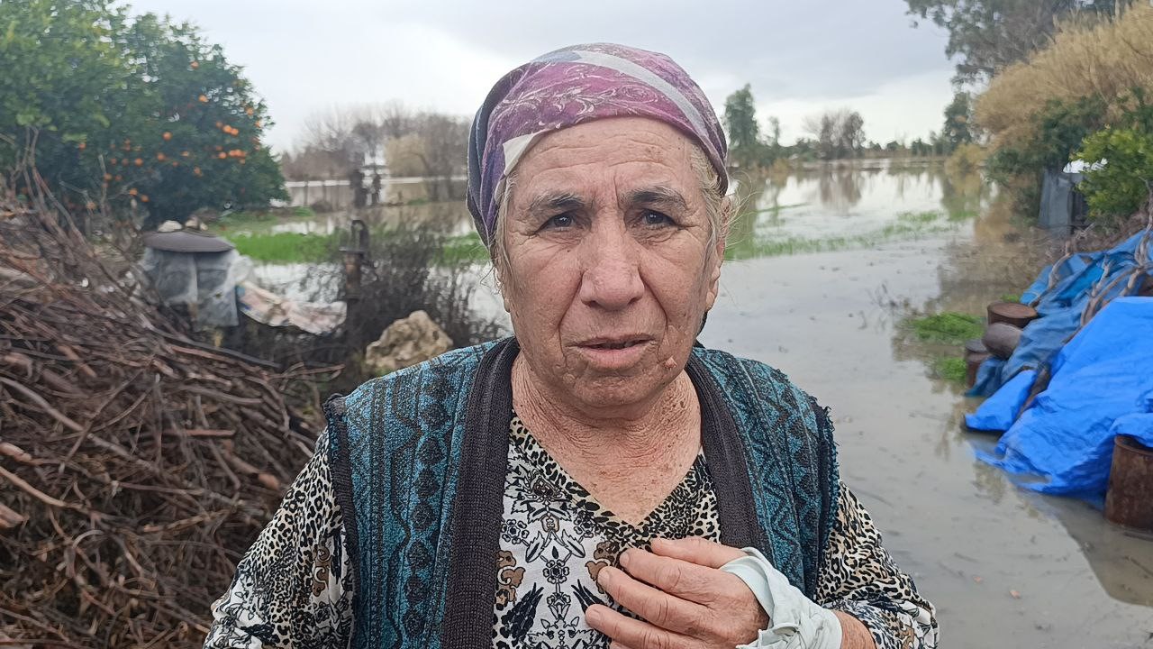 Selde mahsur kalan köpeği AKOM ekipleri kurtardı