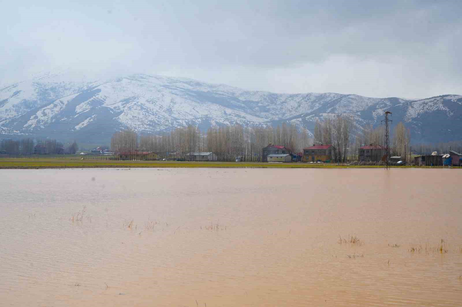 Muş&rsquo;ta eriyen kar ve sağanak ovayı sular altında bıraktı

