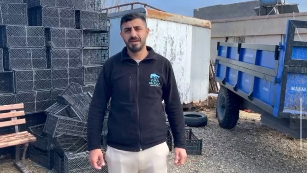 &Ouml;l&uuml; yunus sahile vurdu
