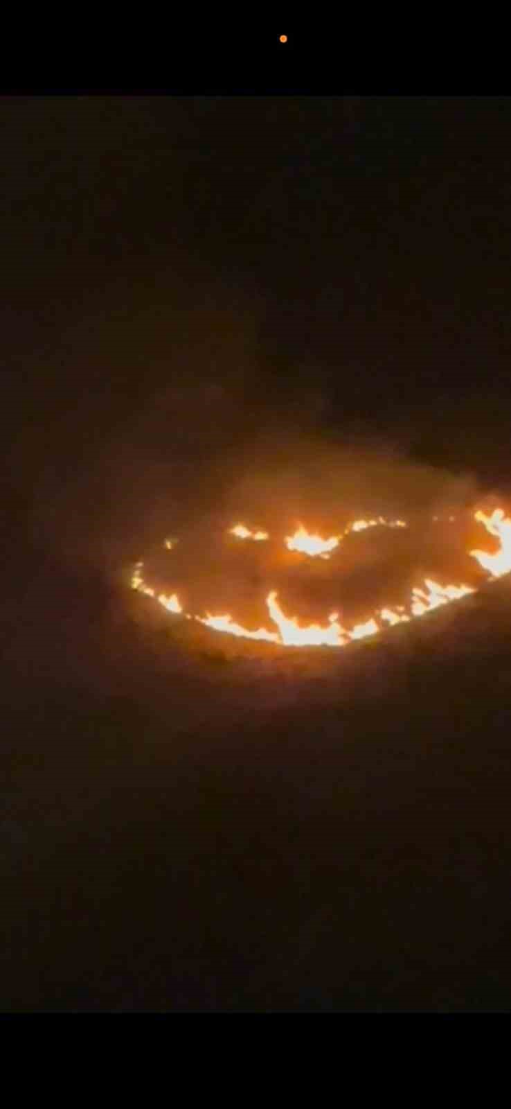 Mardin&rsquo;de ilanıaşk yangına neden oluyordu
