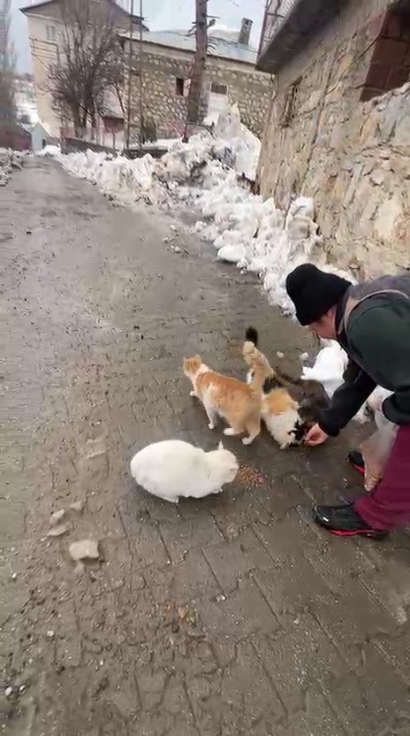 Sokak hayvanlarını beslemek i&ccedil;in her yıl bin 400 kilometre yol geliyor
