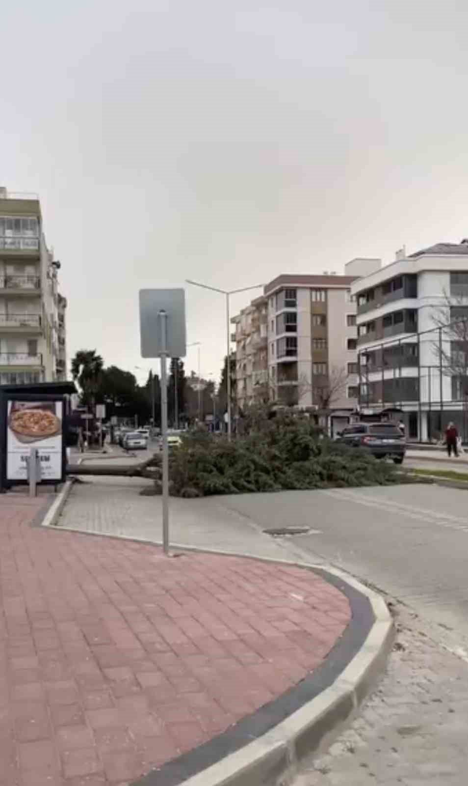 &Ccedil;anakkale&rsquo;de fırtına ağa&ccedil;ları devirdi
