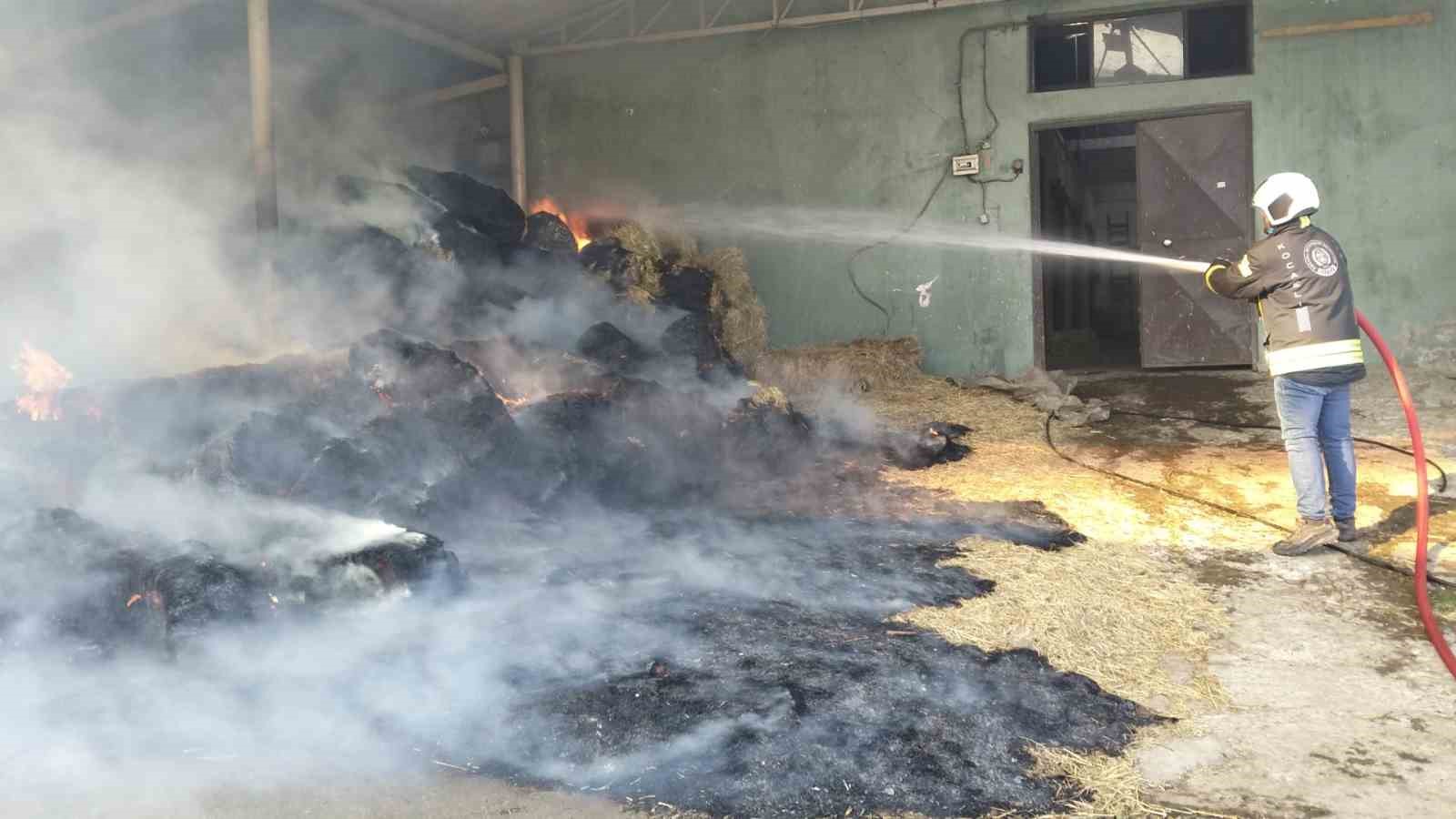 Harada çıkan yangında 70 balya saman yandı