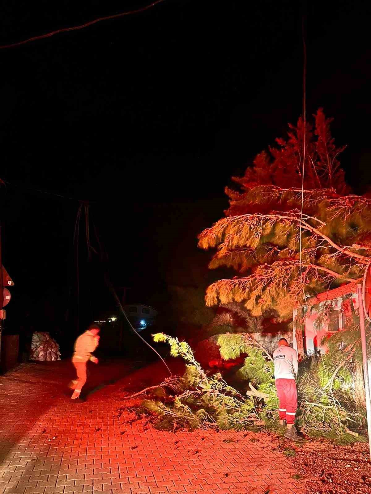 Marmaris&rsquo;te fırtına ağa&ccedil; devirdi: 1 kişi yaralandı
