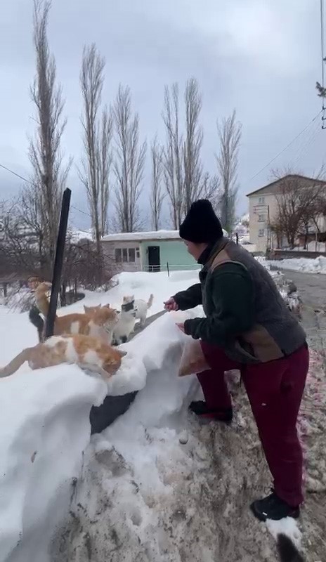 Sokak hayvanlarını beslemek için her yıl bin 400 kilometre yol geliyor