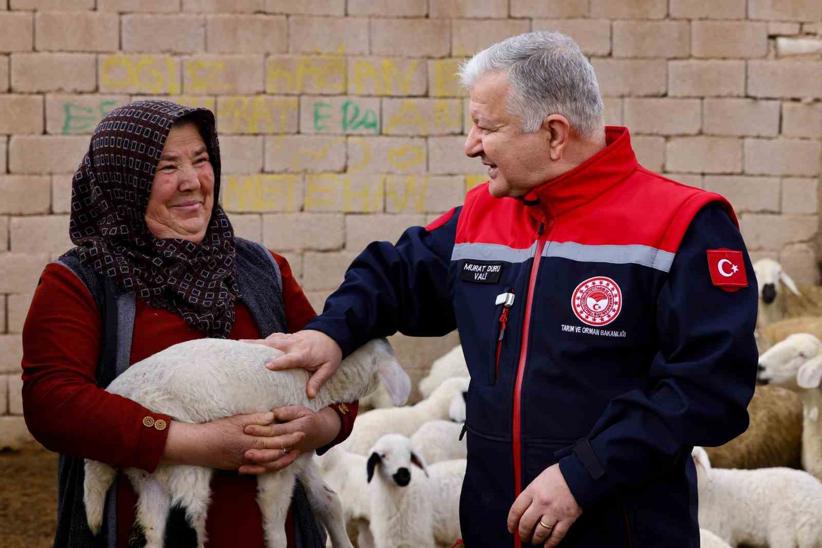 Vali Duru: "1,5 milyarlık finansmanla 125 bin küçükbaş hayvan alımı yapılacak"