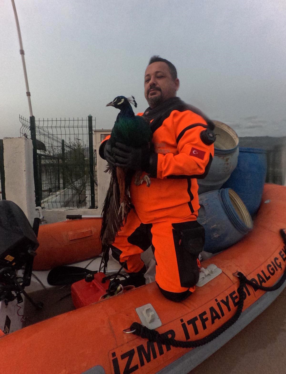 İzmir İtfaiyesi tavuk &ccedil;iftliğinde mahsur kalan hayvanlar i&ccedil;in zamanla yarıştı
