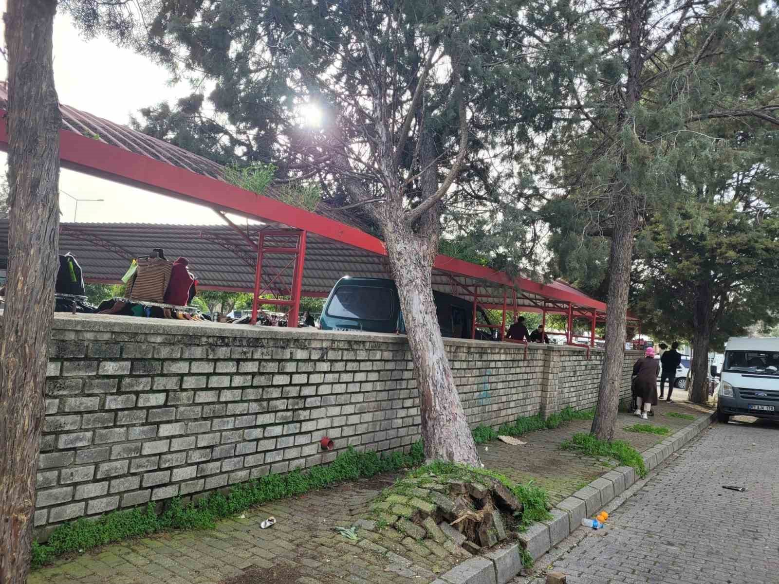 Efekent Pazaryeri’nde rüzgar ağacı devirdi