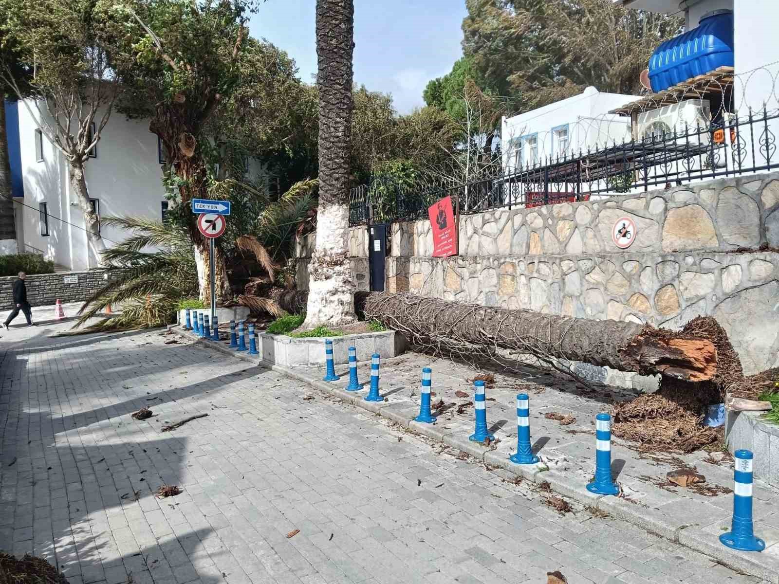 Bodrum’u kuvvetli fırtına vurdu