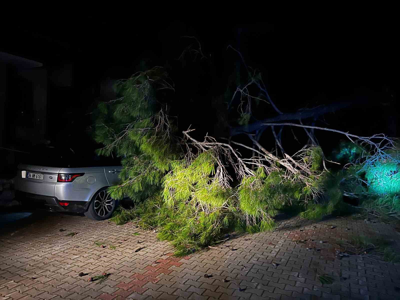 Marmaris’te fırtına ağaç devirdi: 1 kişi yaralandı