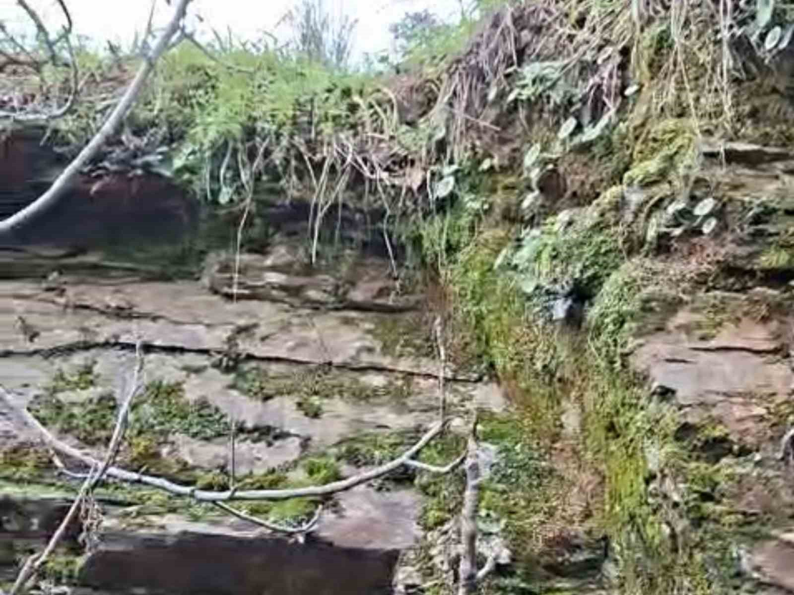 Bayındır Veli Deresi 35 yıl sonra yeniden akmaya başladı
