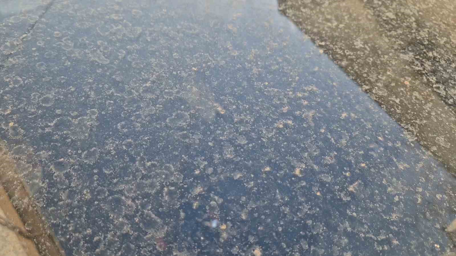 Tekirdağ’da çamur yağdı