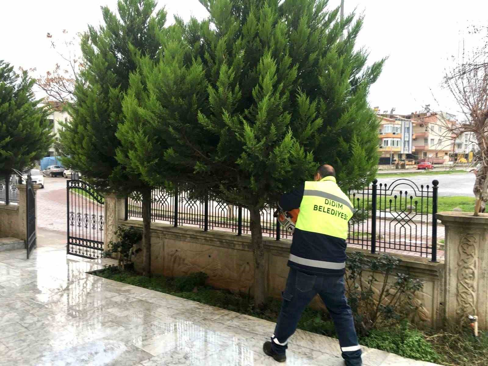 Didim&rsquo;deki camilerde Ramazan ayı &ouml;ncesi temizlik &ccedil;alışmaları yoğunlaştırıldı
