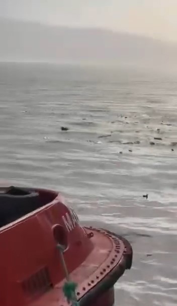 Denizi şehir &ccedil;&ouml;pl&uuml;ğ&uuml;ne &ccedil;evirdiler
