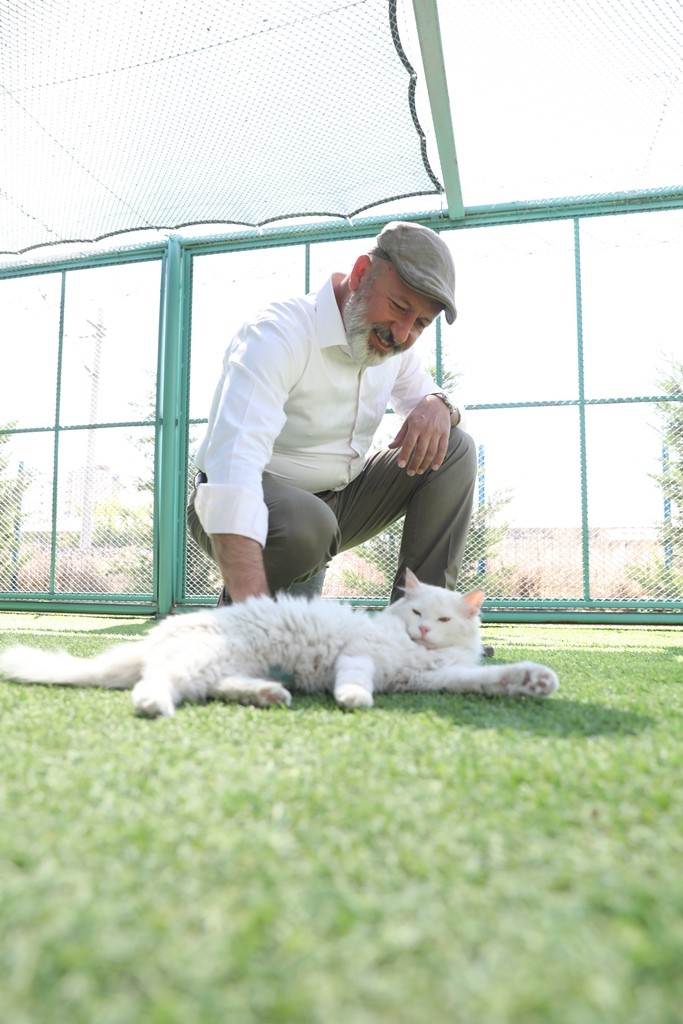 Kayseri’de ilk ve tek küçük dostları Kedi Kasabası, ziyaretçi rekoru kırıyor