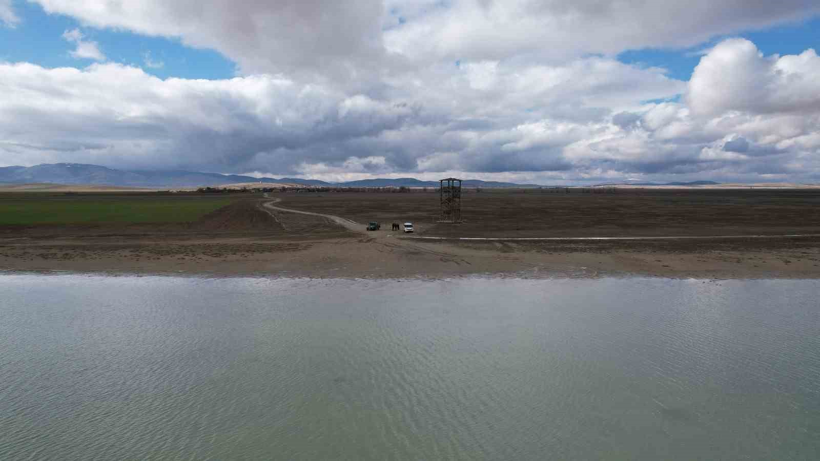 Seyfe Gölü’nde flamingo cümbüşü havadan görüntülendi