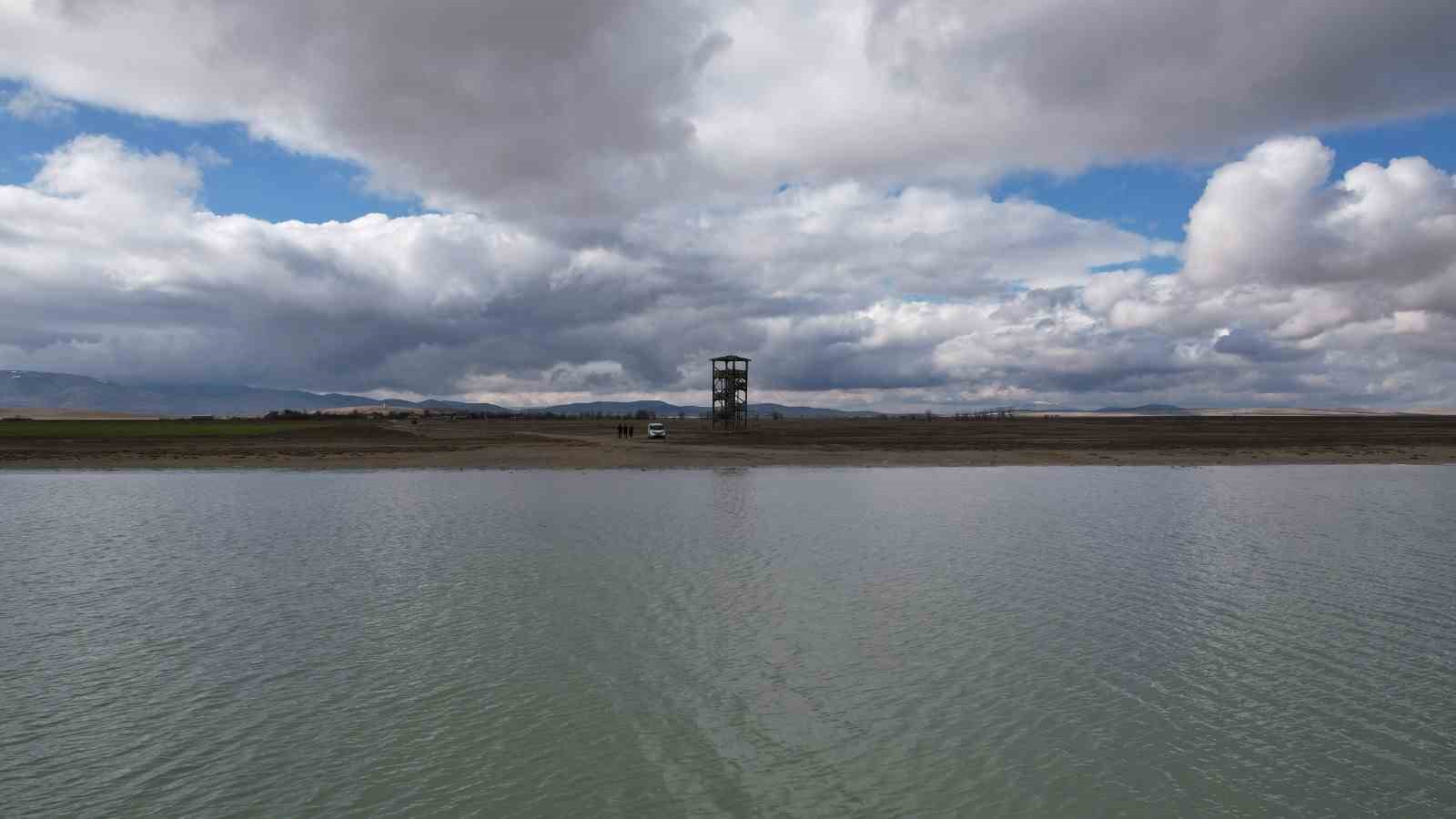 Seyfe Gölü’nde flamingo cümbüşü havadan görüntülendi