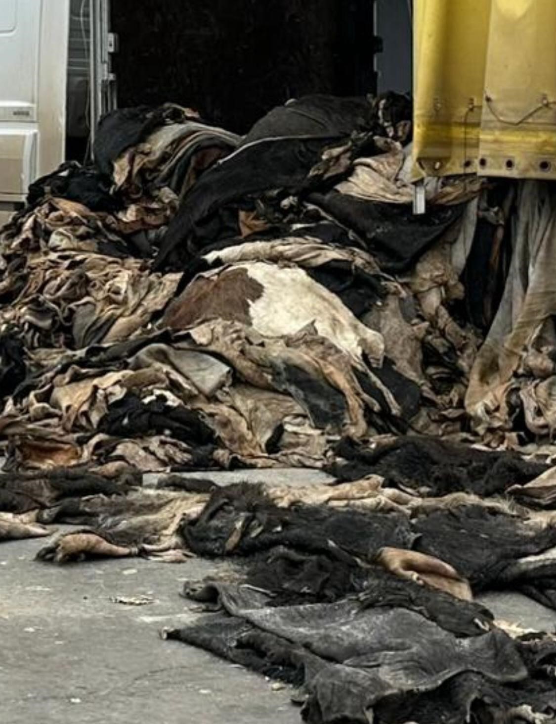 Şırnak&rsquo;ta jandarma ekipleri cephanelik ele ge&ccedil;irdi: 20 tutuklama
