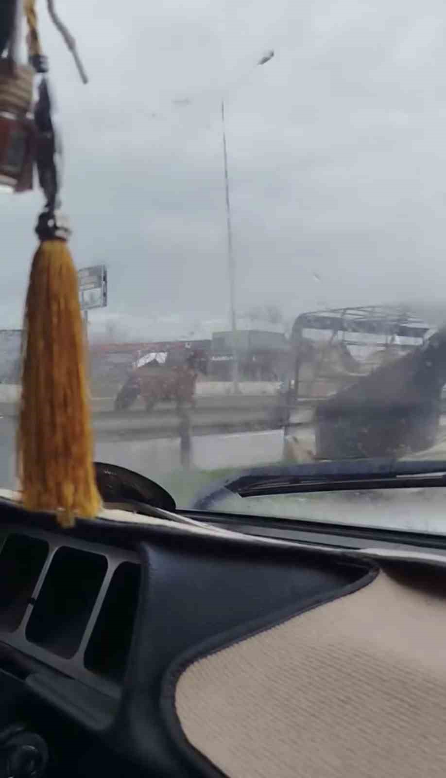 Başıboş at trafikte tehlike sa&ccedil;tı
