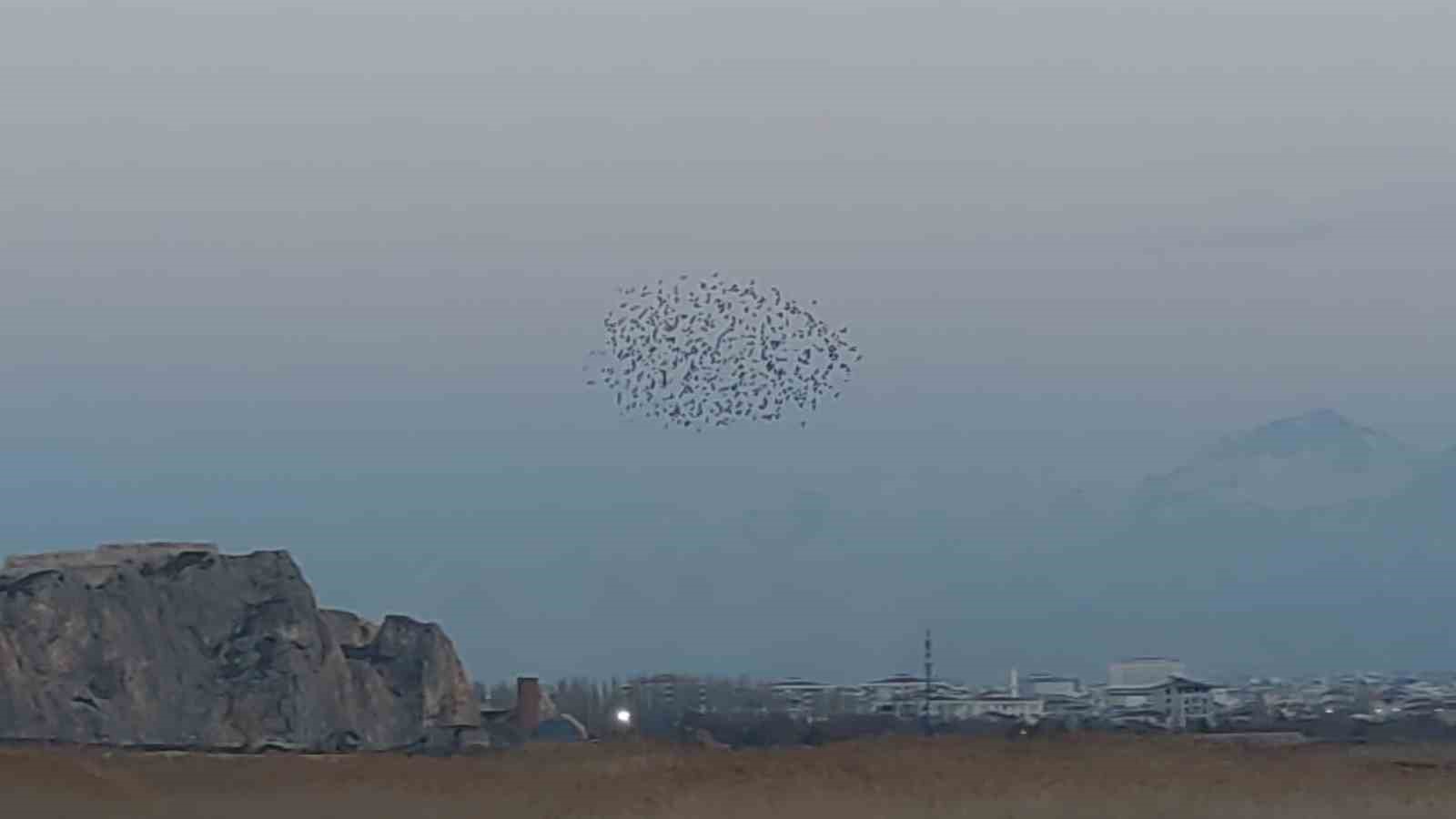 G&ouml;ky&uuml;z&uuml;nde dans: Van Kalesi&rsquo;nde sığırcık ş&ouml;leni

