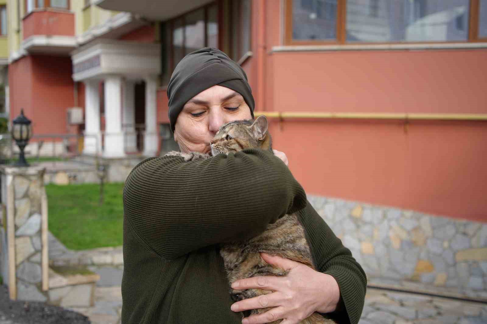 20 yıldır sokak kedilerine annelik yapıyor: "Sadece sevgi istiyorlar"