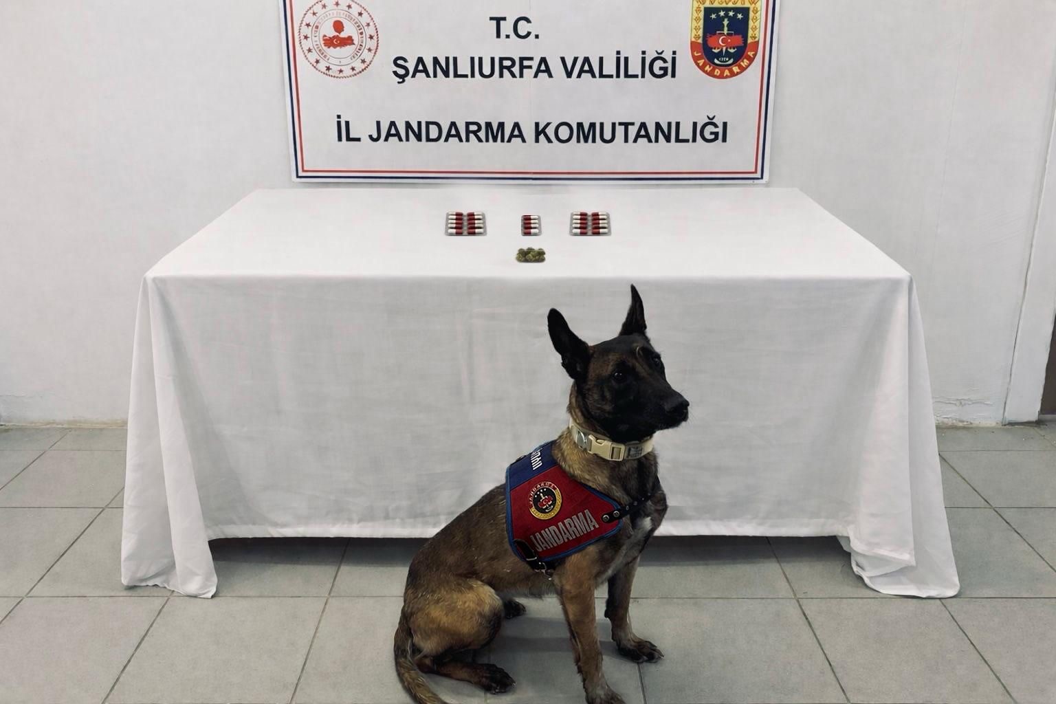 Şanlıurfa’da silah ve uyuşturucu ele geçirildi: 8 şüpheliye işlem yapıldı