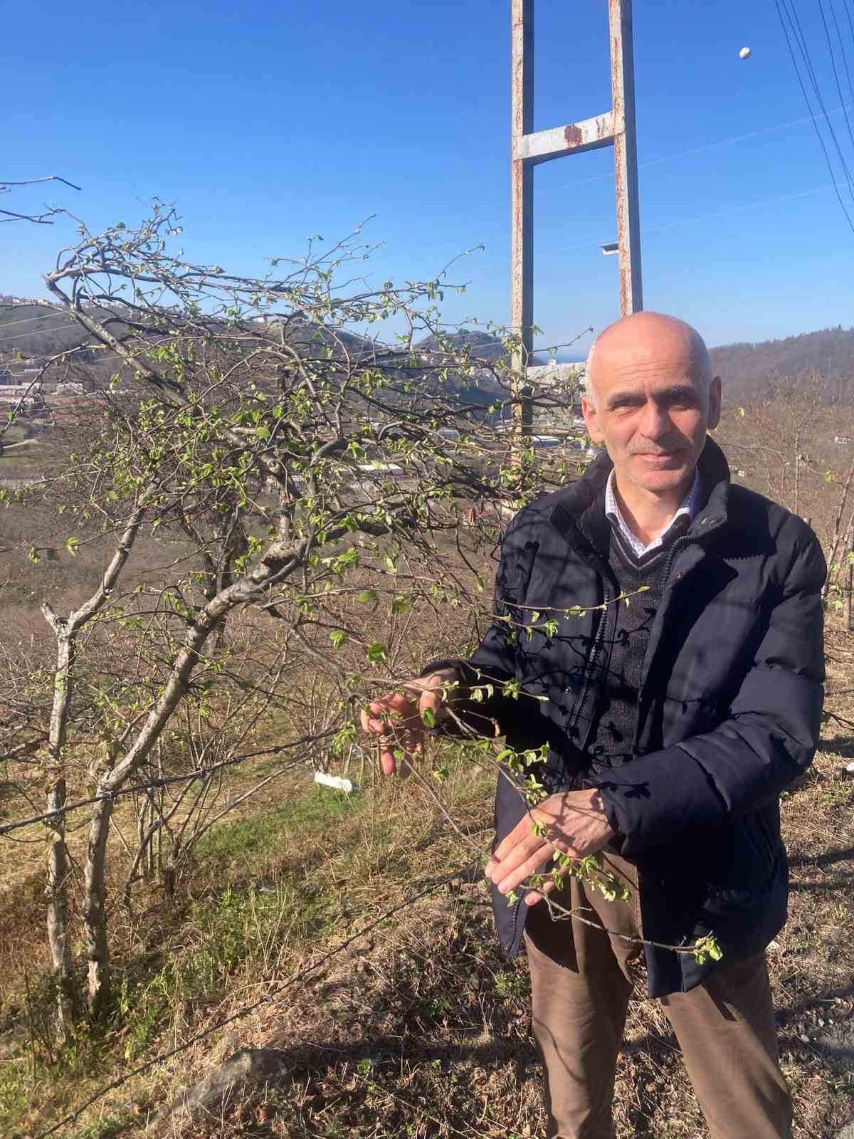 Fındık &uuml;reticilerine sigorta uyarısı
