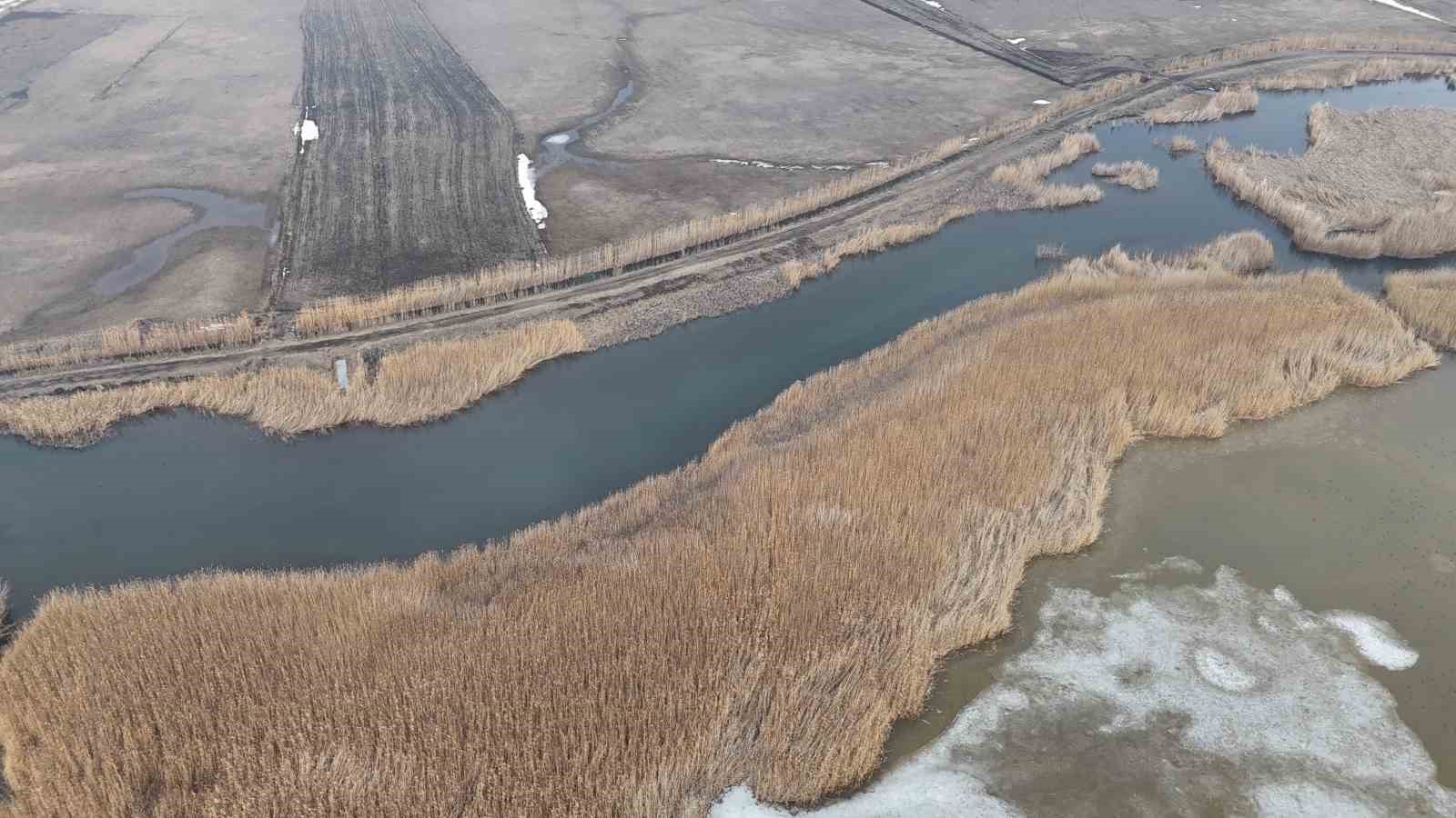 Iğdır&rsquo;da donan Karasu Sazlığı&rsquo;nda buzlar eriyor
