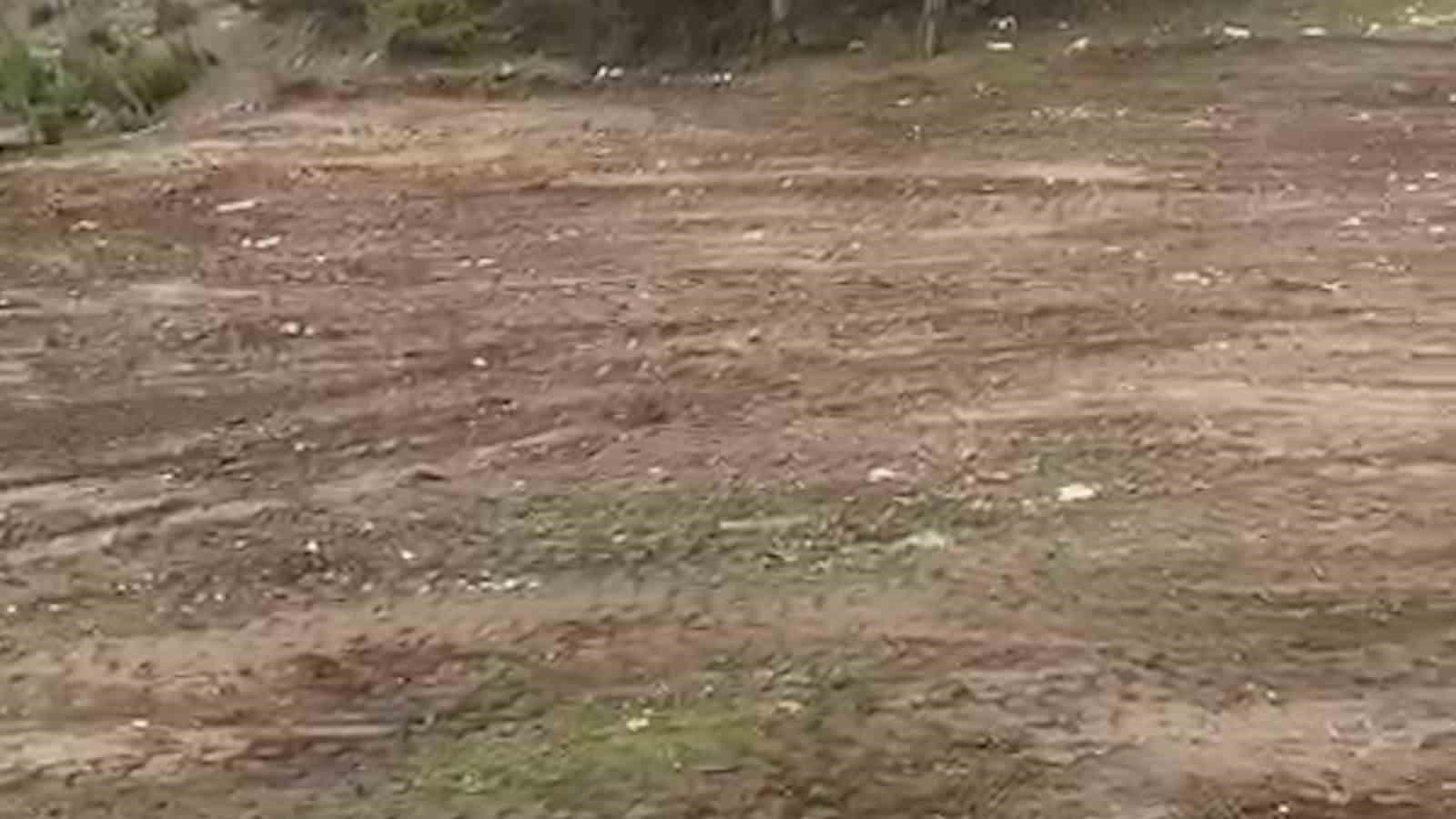 Vatandaşların kirlettiği ormanlık alanı muhtar temizledi
