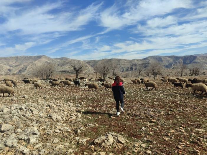 Ormani&ccedil;i&rsquo;nde mera seferberliği: Ekipler sahada, arazi kullanımı mercek altında
