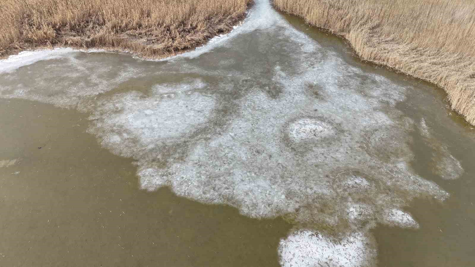 Iğdır’da donan Karasu Sazlığı’nda buzlar eriyor