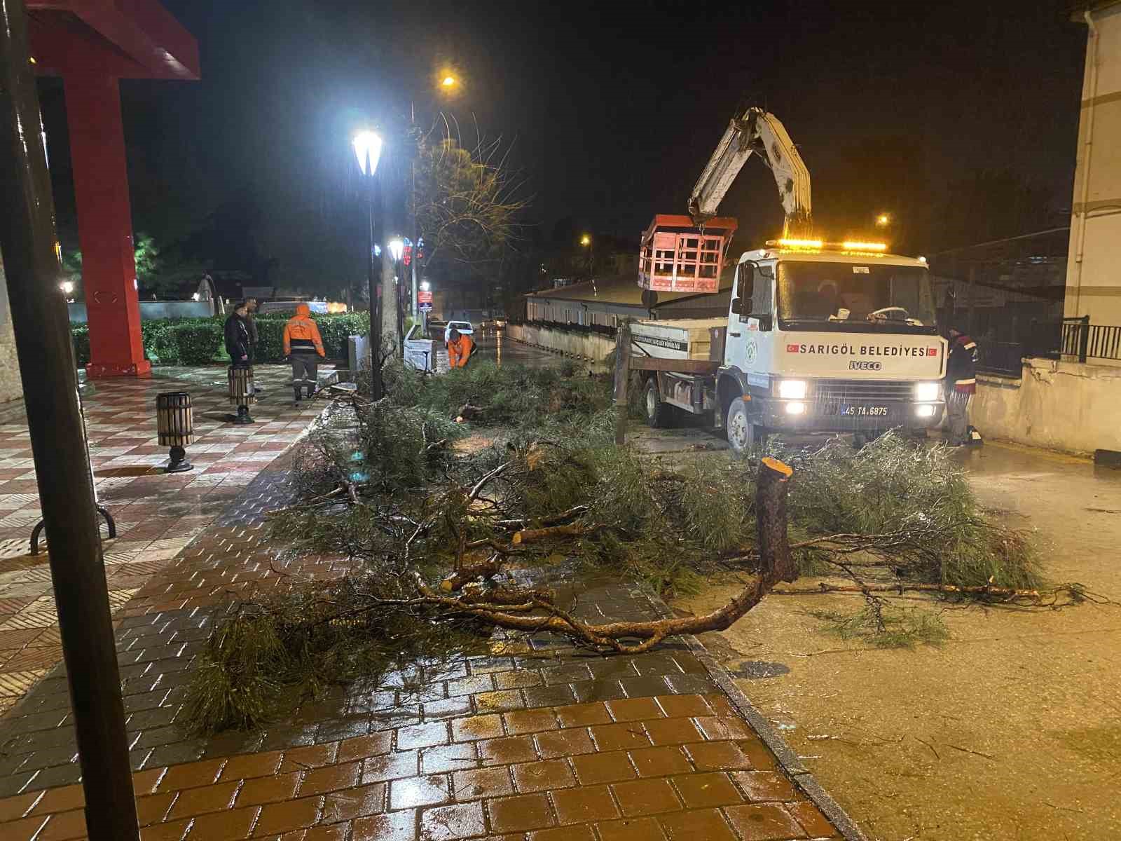 Yarım asırlık &ccedil;am ağacı fırtınaya dayanamadı
