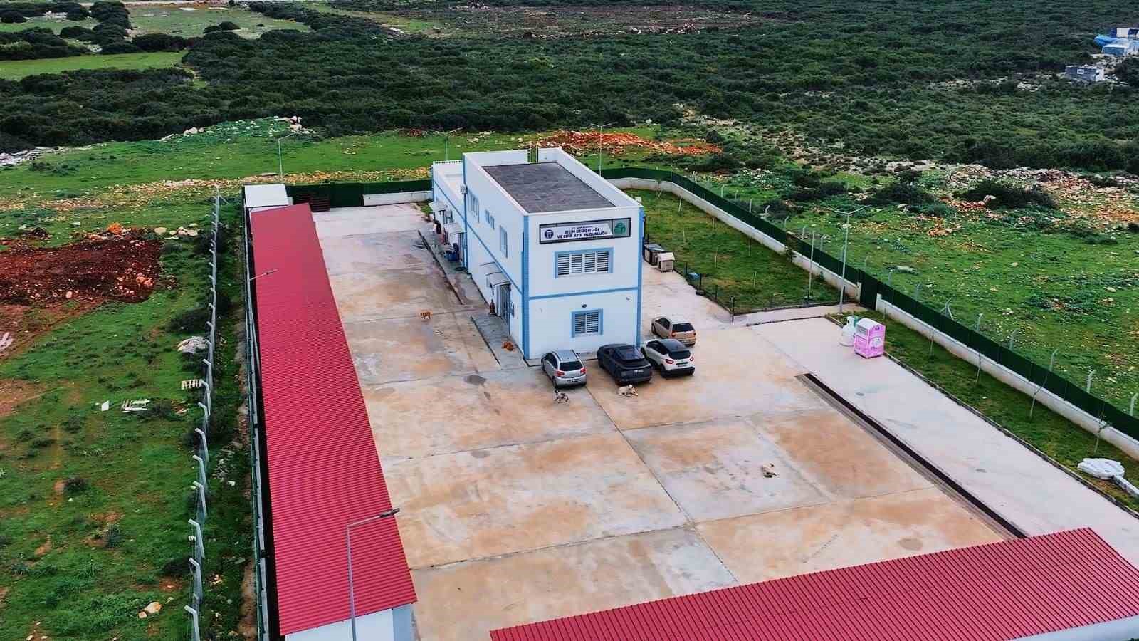 Didim Belediyesi can dostlar i&ccedil;in mama &uuml;retiminde kapasiteyi artırdı
