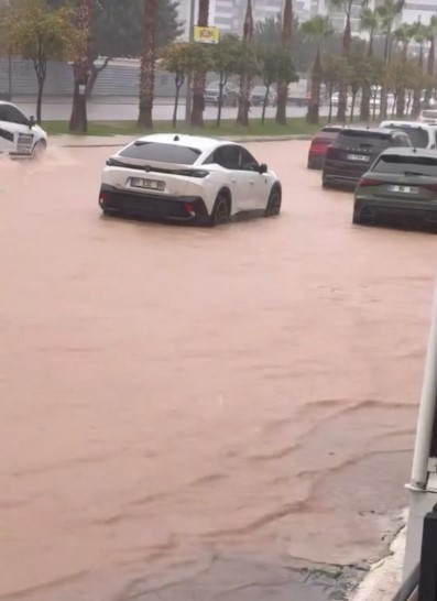 Adana&rsquo;da fırtına ağa&ccedil;ları yerinden s&ouml;kt&uuml;
