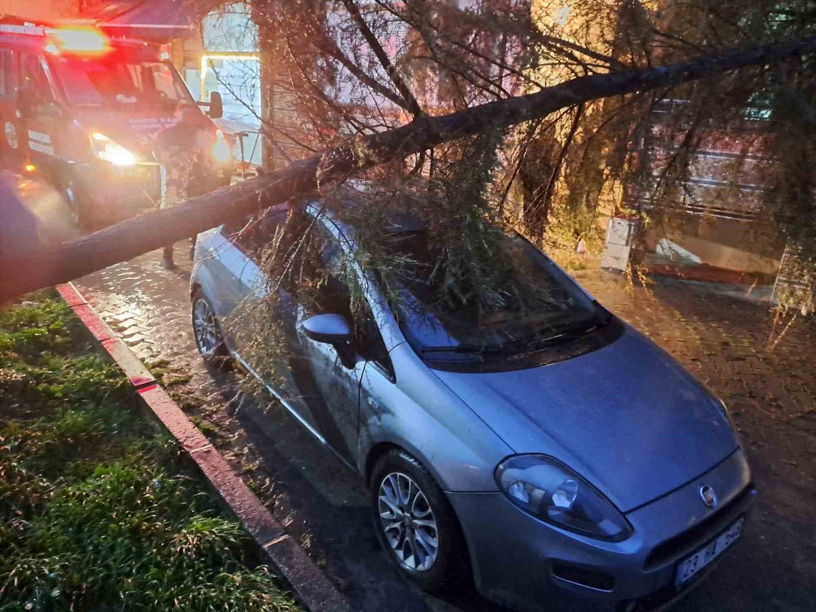 Babaeski’de kuvvetli rüzgarda otomobilin üzerine ağaç devrildi