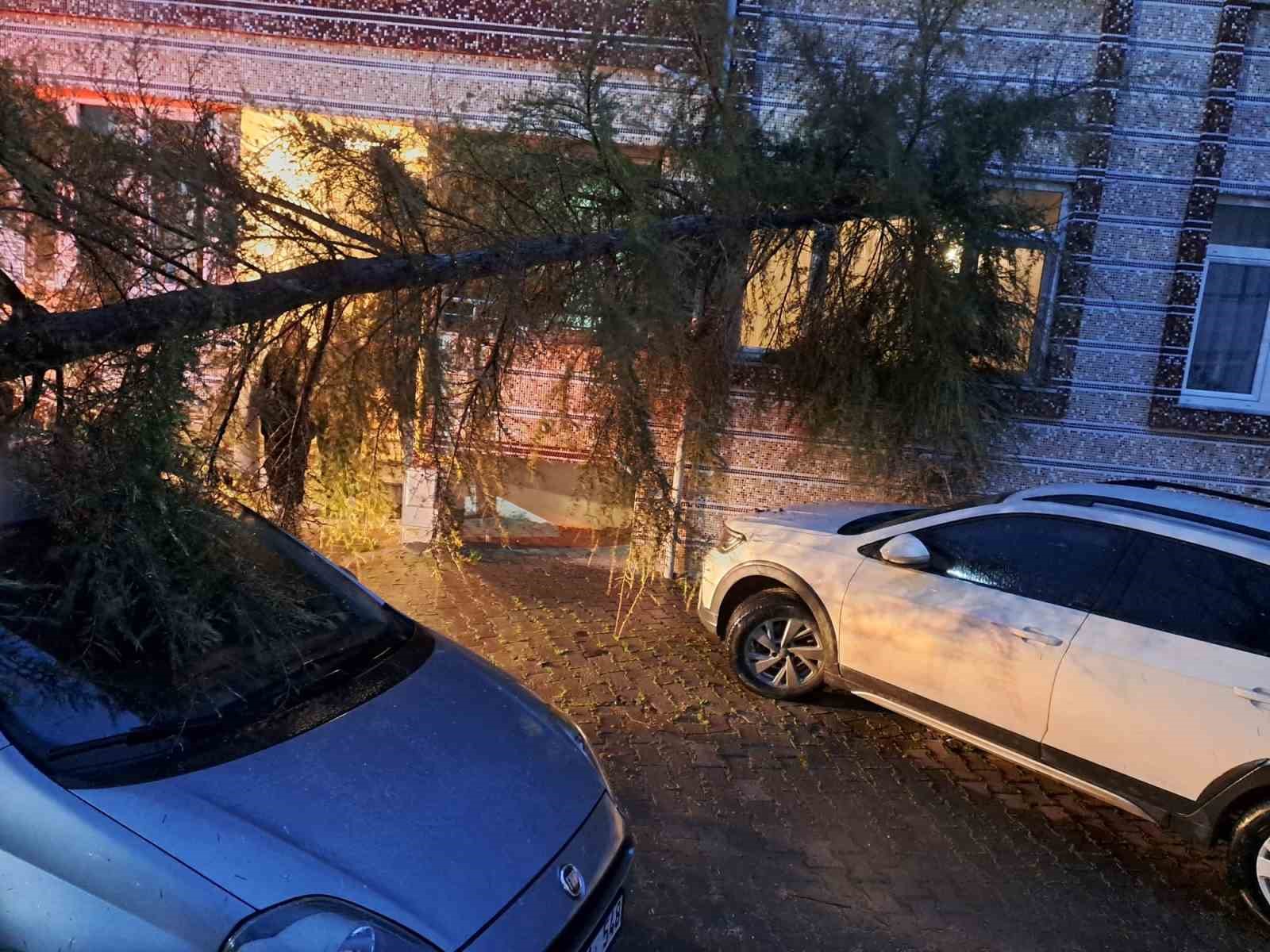 Babaeski&rsquo;de kuvvetli r&uuml;zgarda otomobilin &uuml;zerine ağa&ccedil; devrildi
