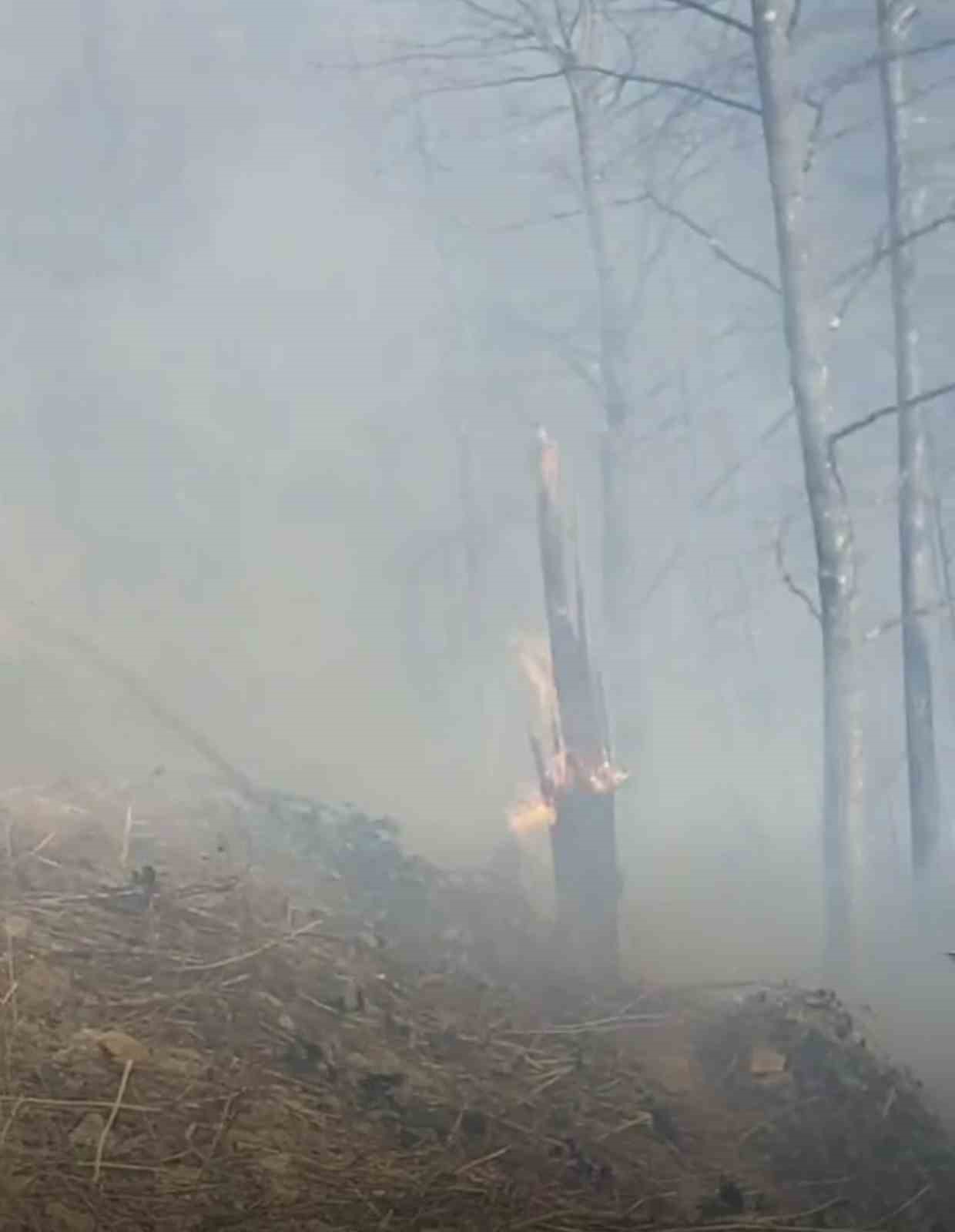 Trabzon&rsquo;da &ouml;rt&uuml; yangınları
