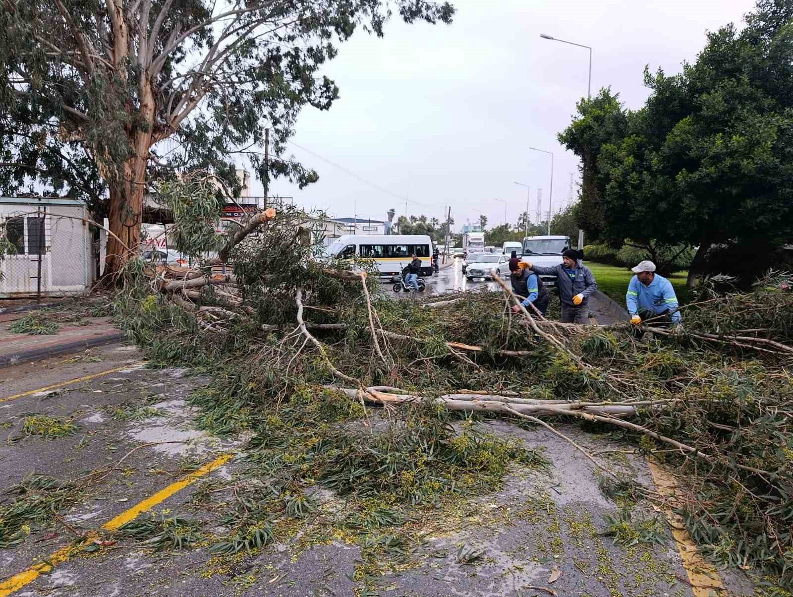 Akdeniz’de fırtına sonrası belediye ekipleri teyakkuzda