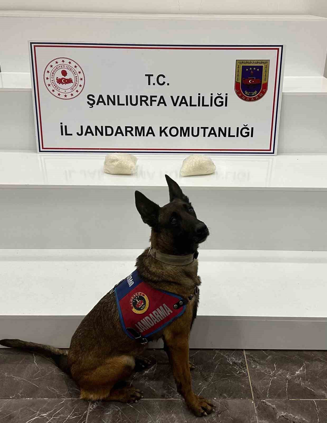 Şanlıurfa’da 2 kilo uyuşturucu ele geçirildi: 2 gözaltı