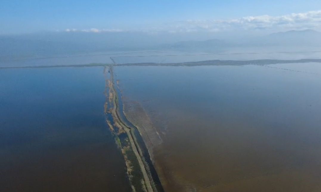 Kahramanmaraş’ta binlerce dönüm tarım arazisi sular altında kaldı